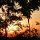 Sonnenuntergang